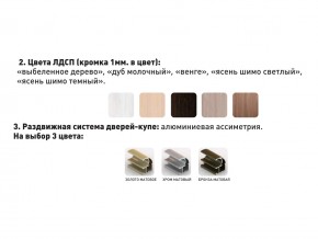 Шкаф-купе Акцент-Сим Д 1500-600 шимо светлый в Рудном - rudnyj.magazinmebel.ru | фото - изображение 3